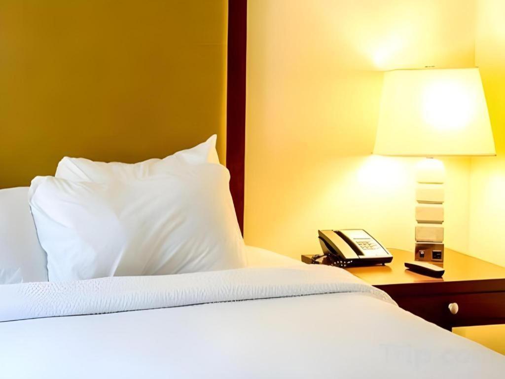 Motel 80 Auckland Bagian luar foto